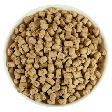 freeze-dried-bowl