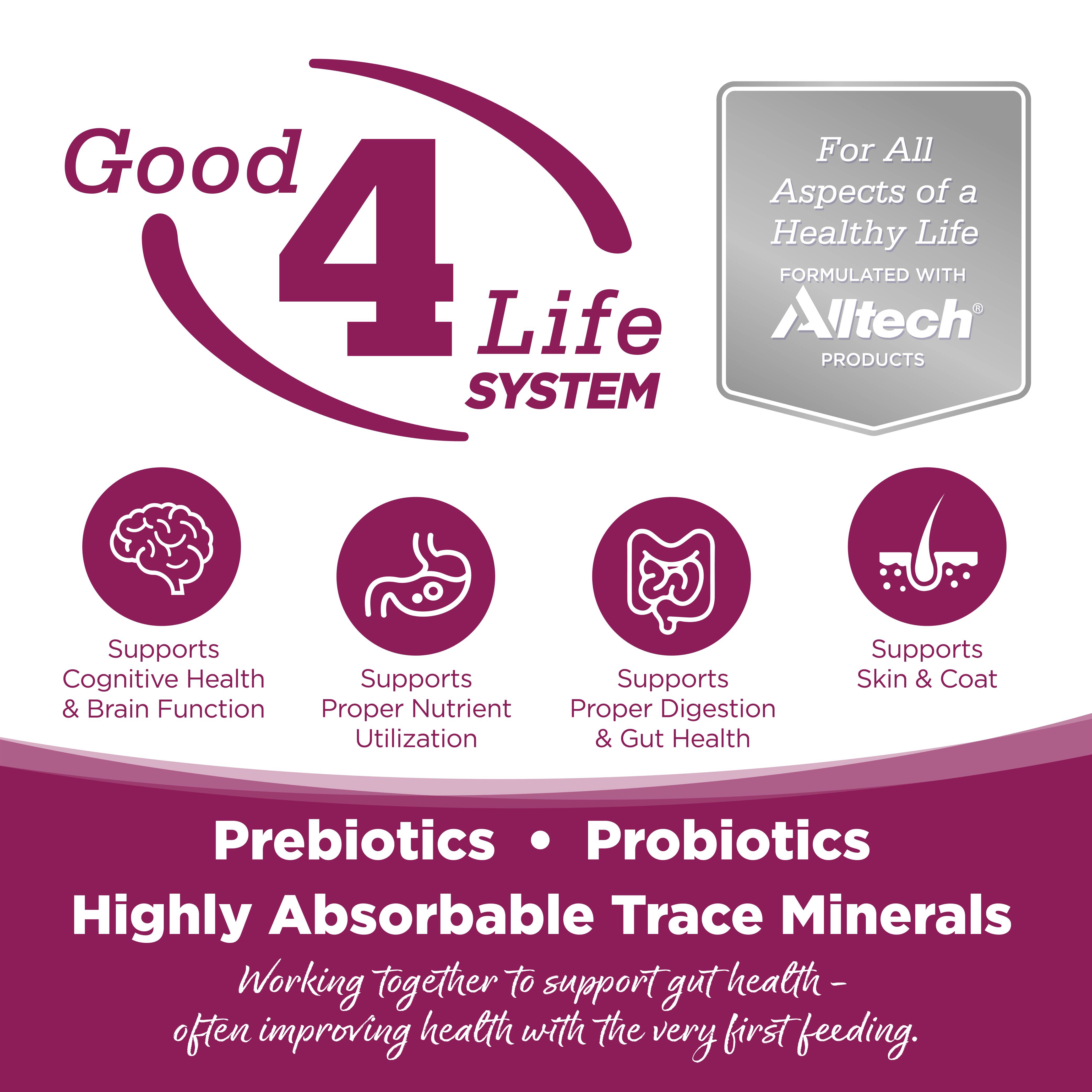 n-s-cat-chicken-rice-01