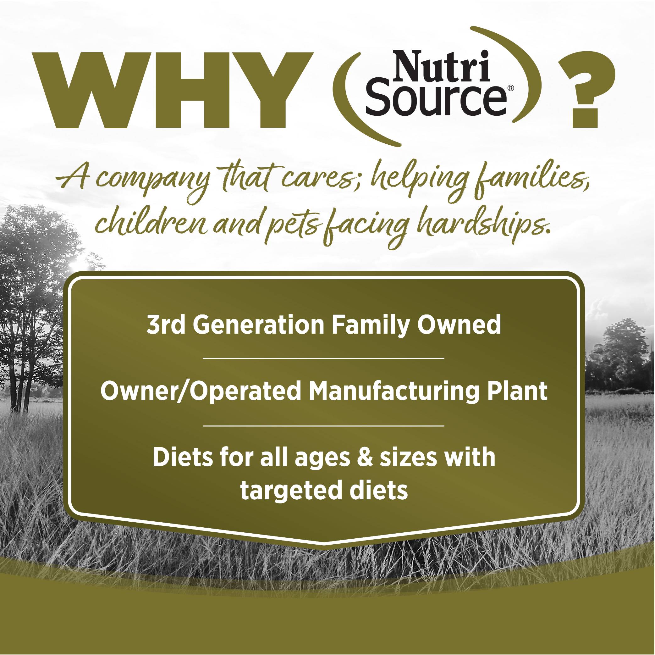 n-s-g-f-small-bites-chicken-pea-02