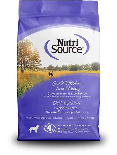 n-s-small-medium-breed-puppy