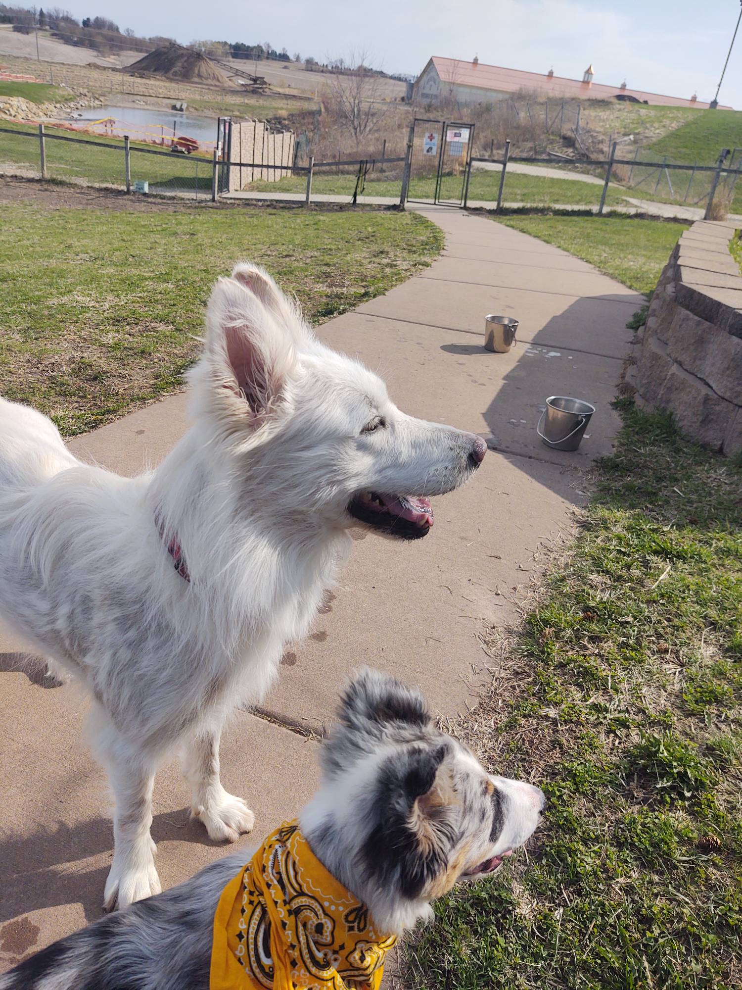 i-m-g-20250422-164319696